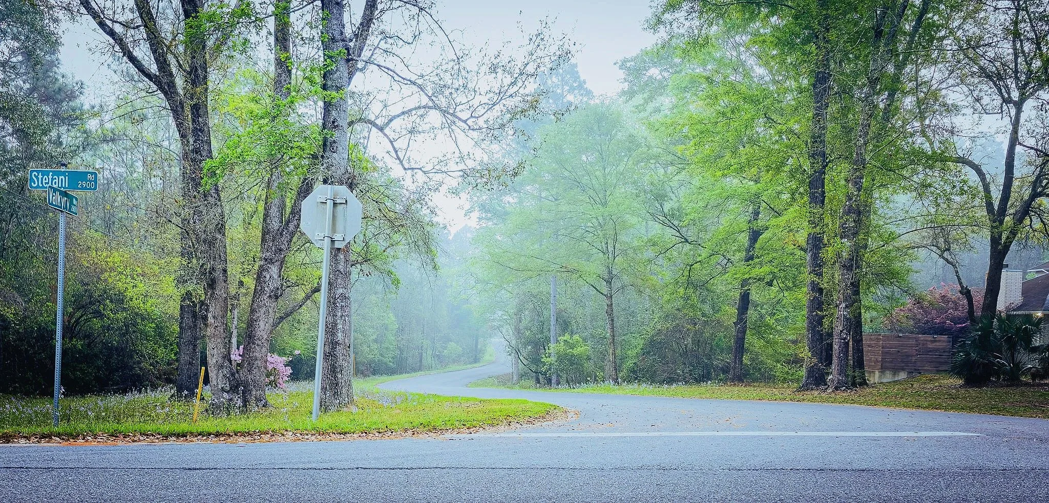 Stefani Rd, Pensacola, FL