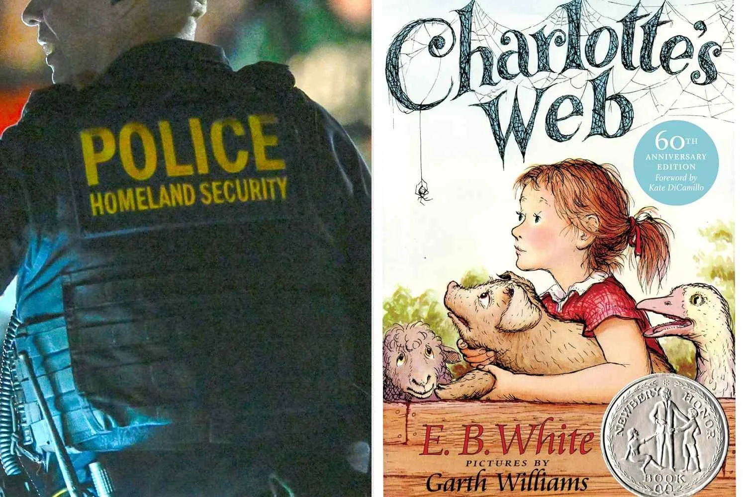 Business Under Pressure: The Economic Impact of Operation Charlotte’s Web