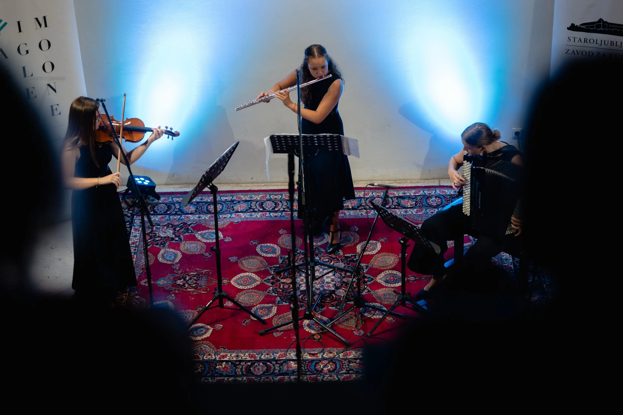 piksiwork_concerts_431.JPG