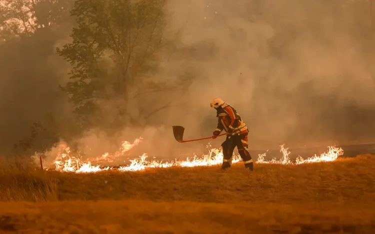 A firefighter working along a line of fire during the Kras wildfire