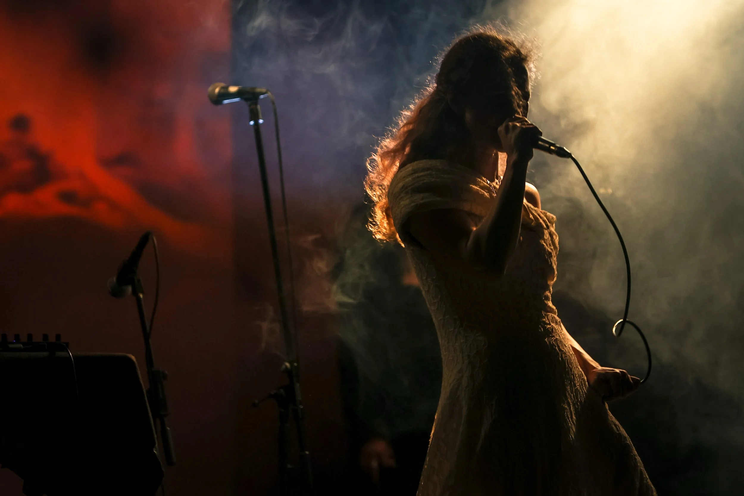 piksiwork_concerts_452.JPG