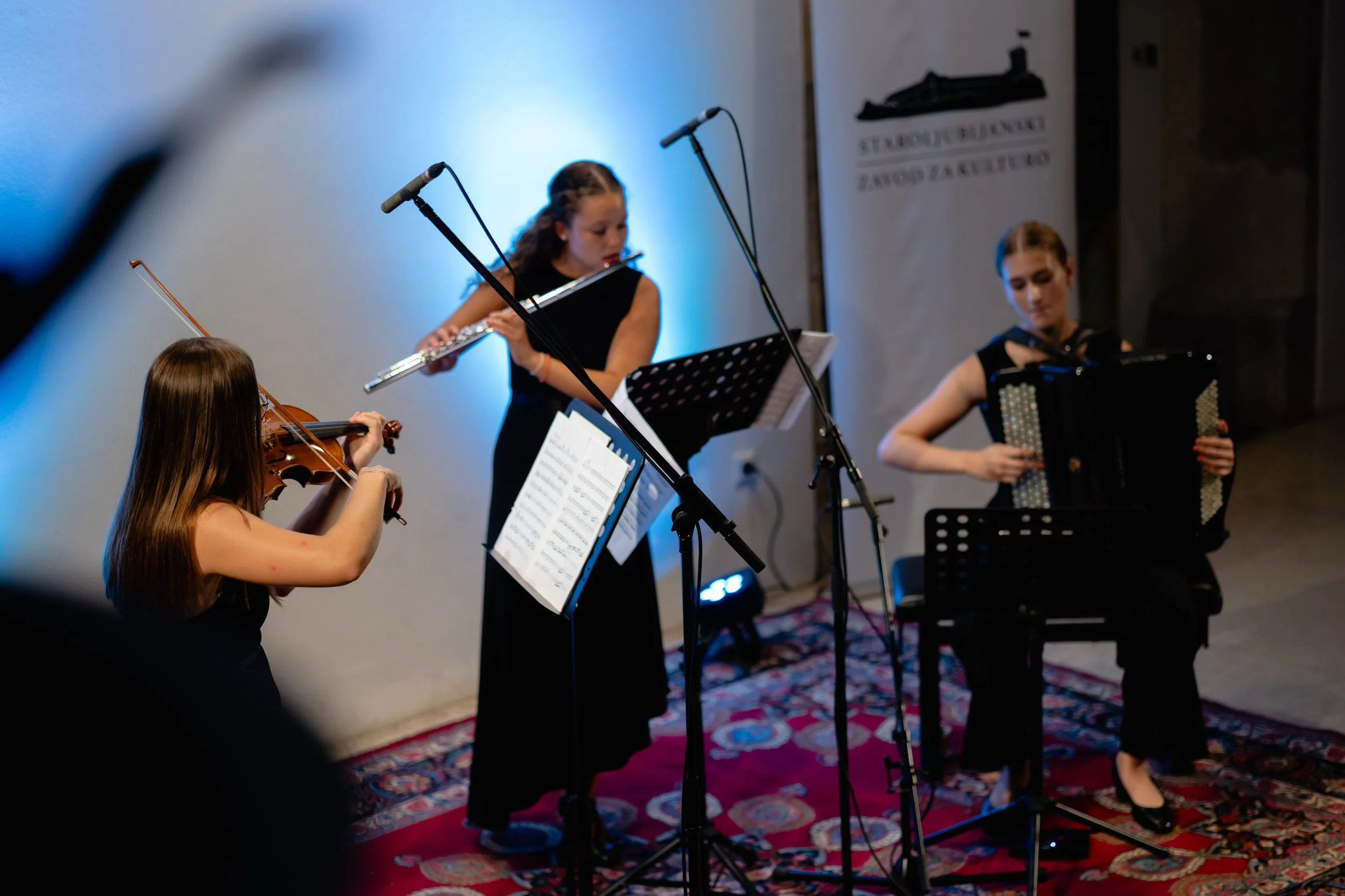 piksiwork_concerts_432.JPG