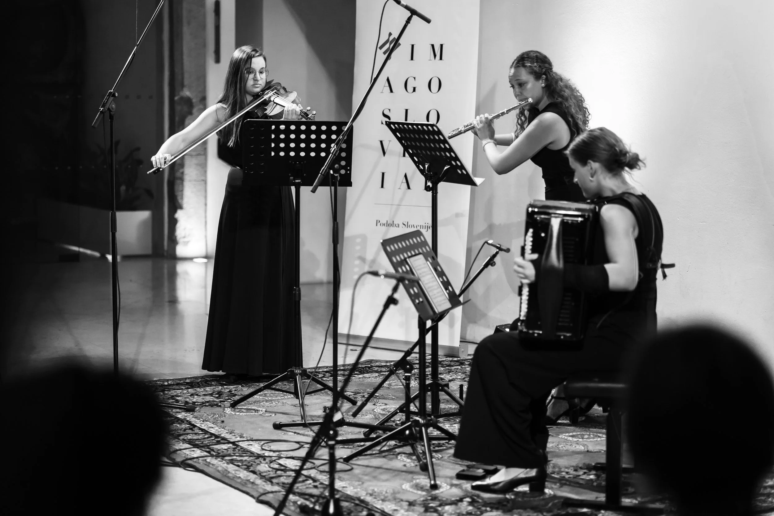 piksiwork_concerts_429.JPG