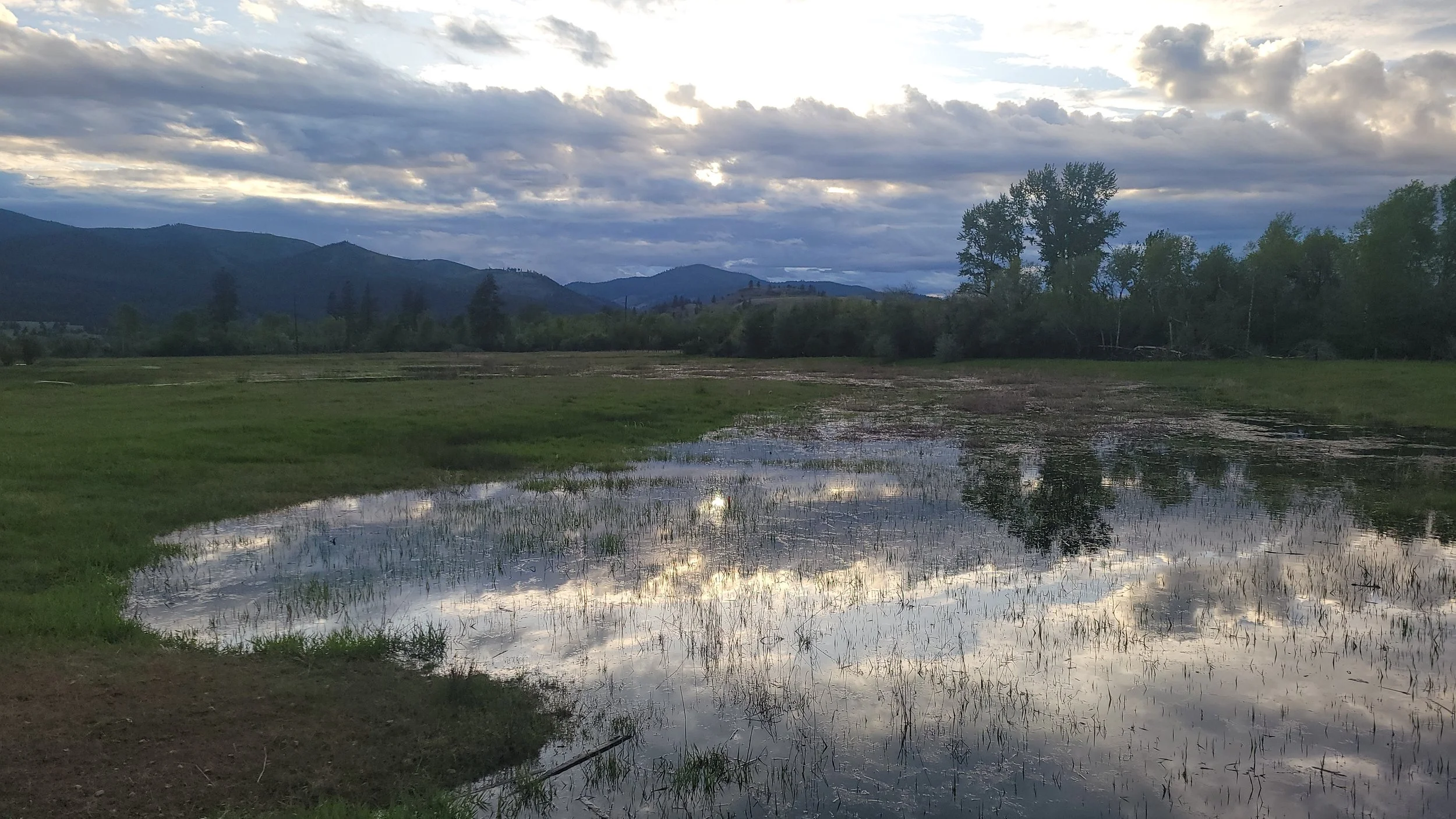 A landscape with a cloudy sky, distant mountains, trees, and a flooded grassy field reflecting the clouds and sky.