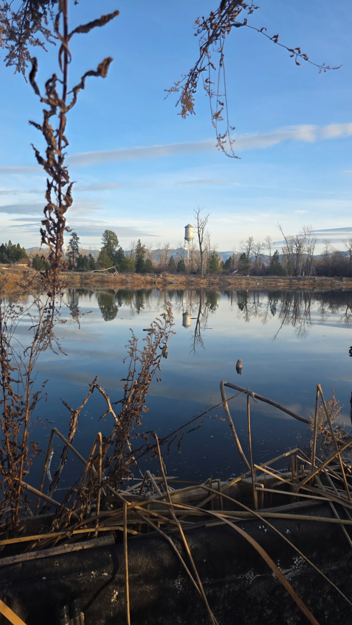 A calm river with clear reflections of leafless trees and a water tower in the distance, under a mostly clear blue sky.