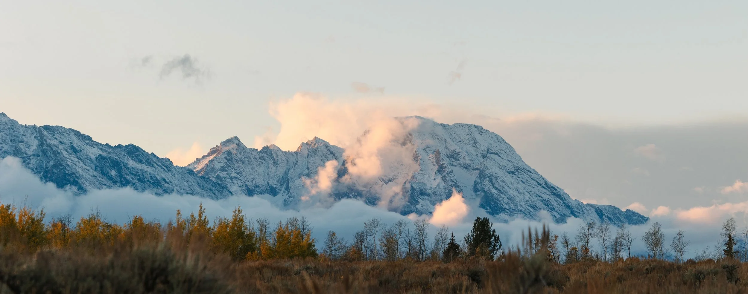Snow-capped mountains surrounded by clouds with a foreground of trees and dry grass.