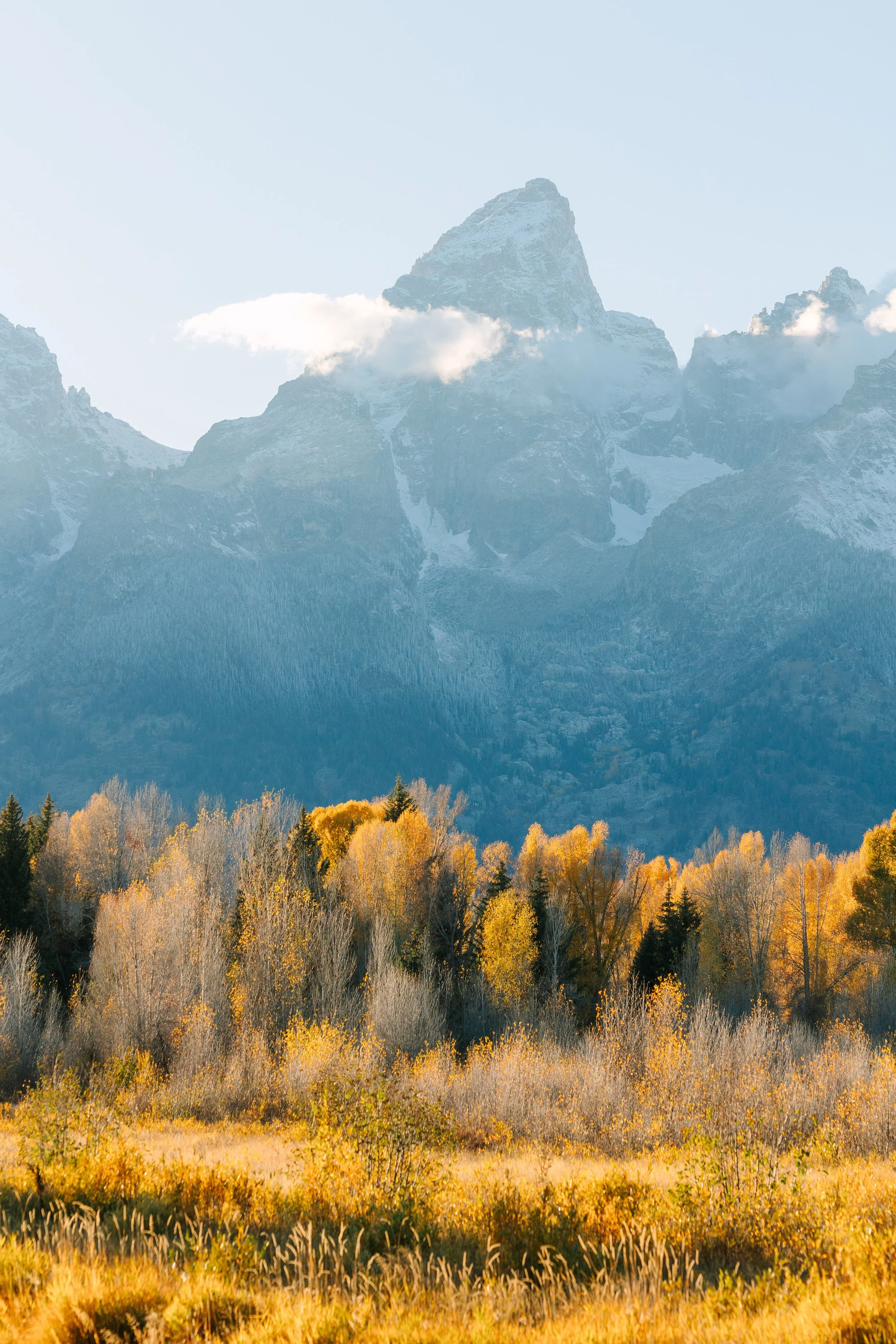 Snow-capped mountain with clouds, yellow autumn trees in the foreground.