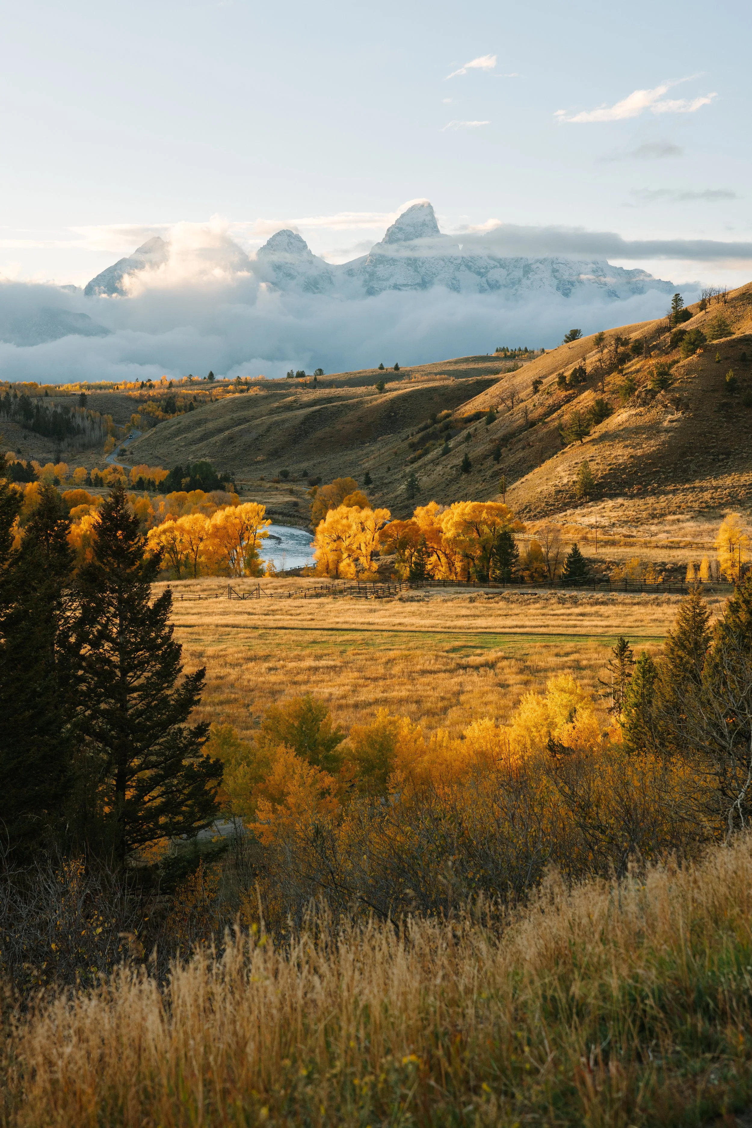 Scenic view of fall foliage in a valley with yellow and orange trees, a river, rolling hills, and snow-capped mountains in the background under a partly cloudy sky.