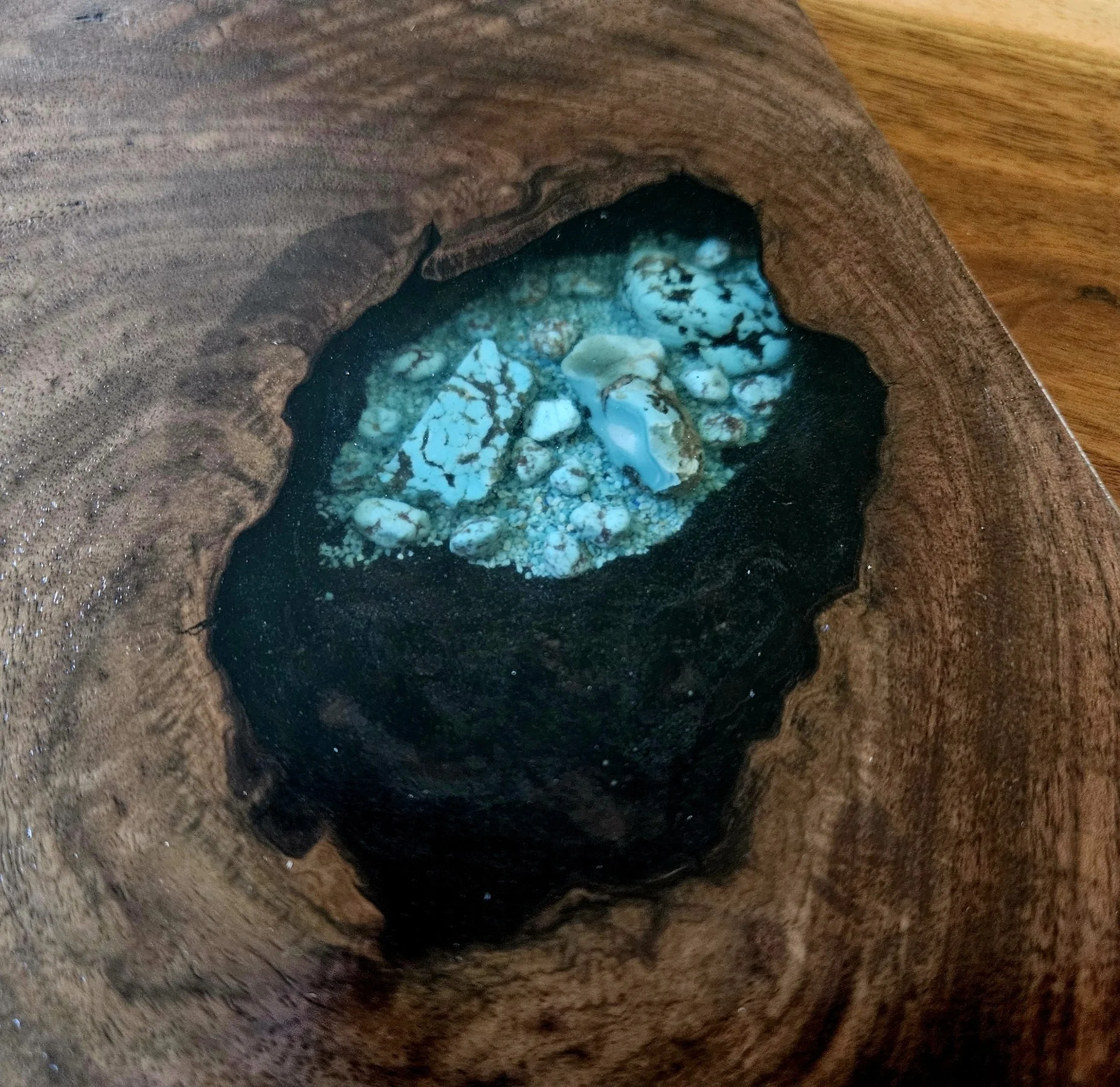 Walnut_Caret_Turquoise3.jpg