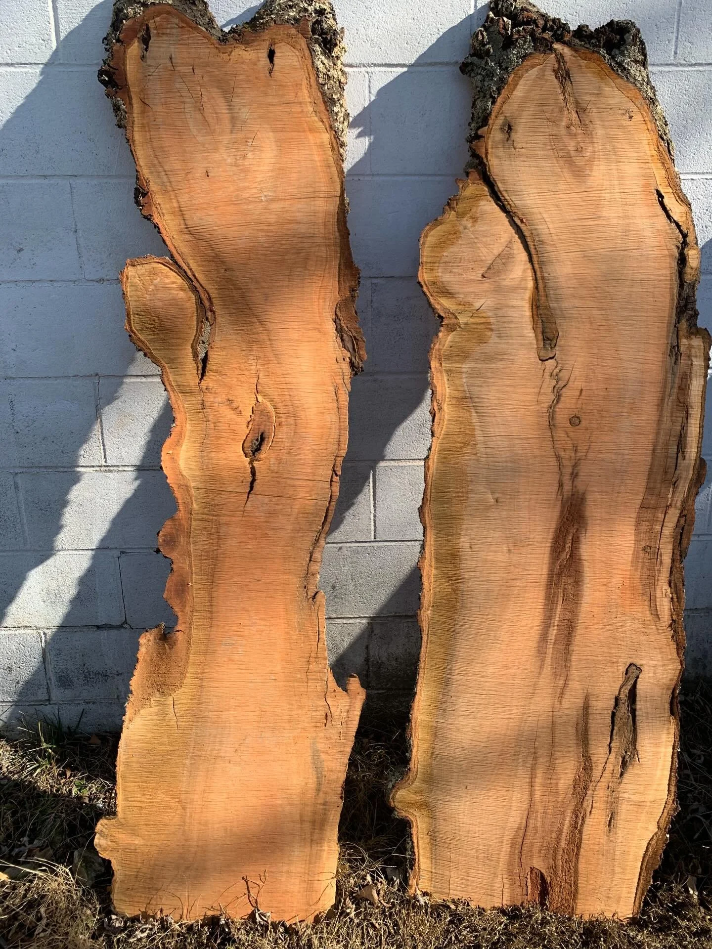 Highlights of our first slab inventory💫

Mostly maple with some cherry and red elm. All kiln dried and ready to fulfill your woodworking vision. These are in WV for now. DM us or reach out on the website for inquiries. 

#slabs #revivewood #woodwork