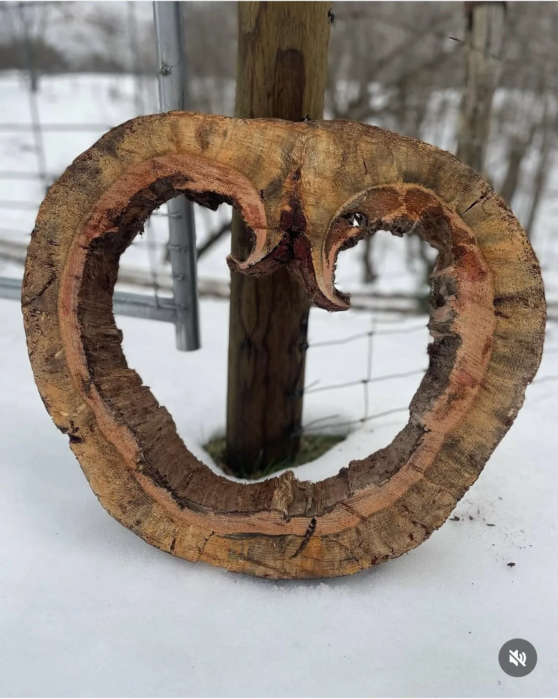 💗Still looking for that perfect Valentine&rsquo;s Day gift? Heart-shaped cookies are always a hit!🪵🍪

#valentinesday #cookies #allnatural #organic #madewithlove