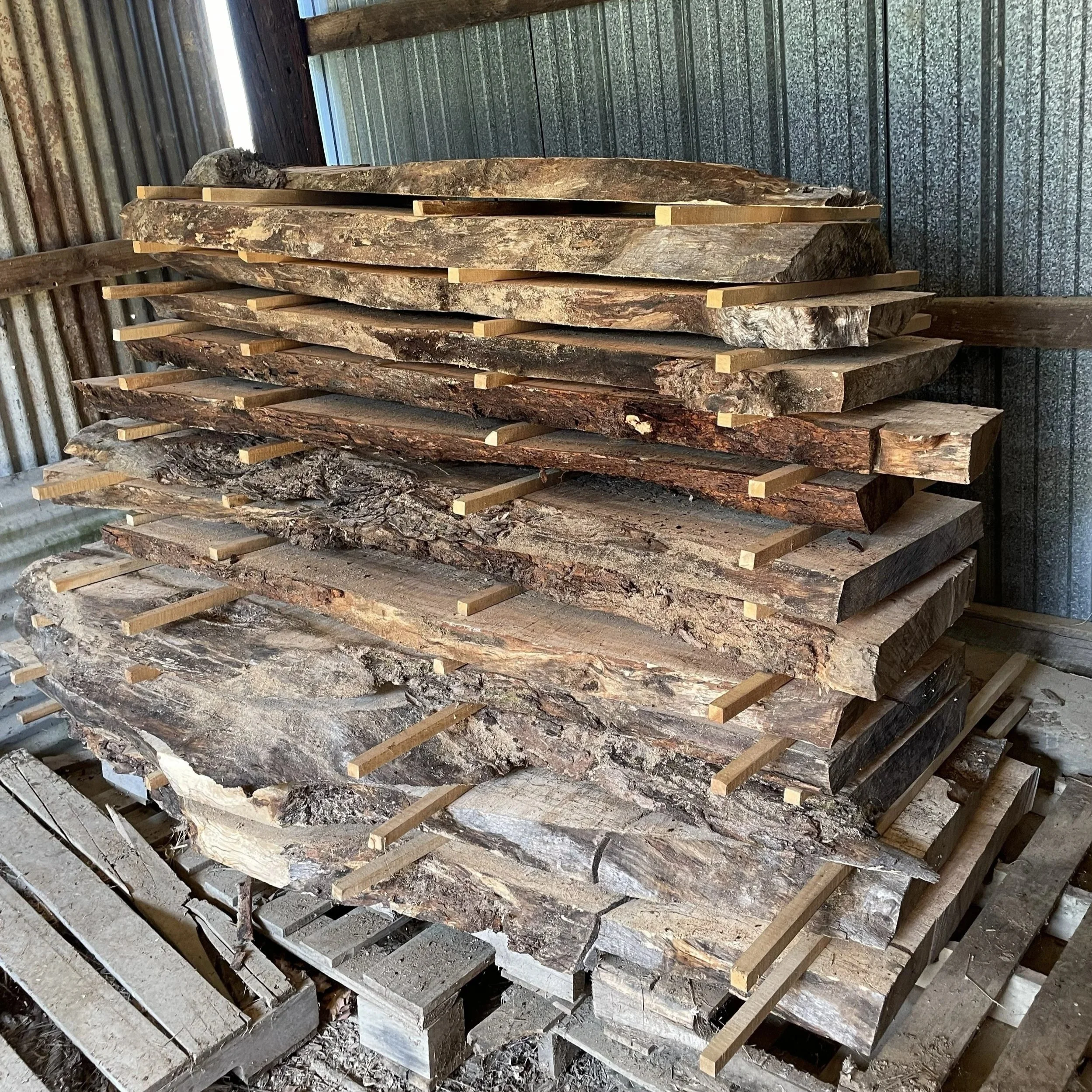 Stack of live edge maple slabs air drying in a shed with metal corrugated walls.