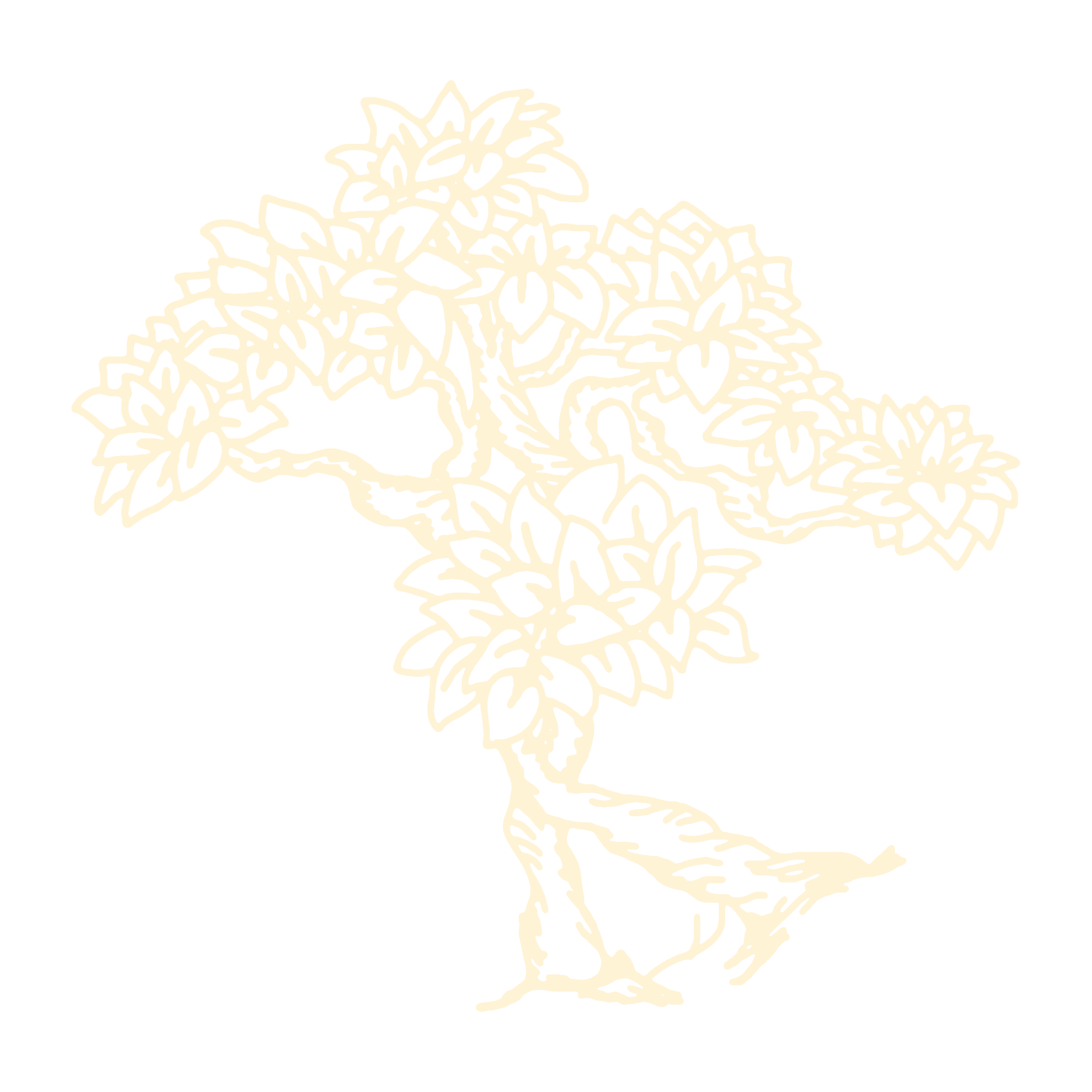 Line drawing of a small gnarled tree with a twisted trunk and lush foliage on a clear background.
