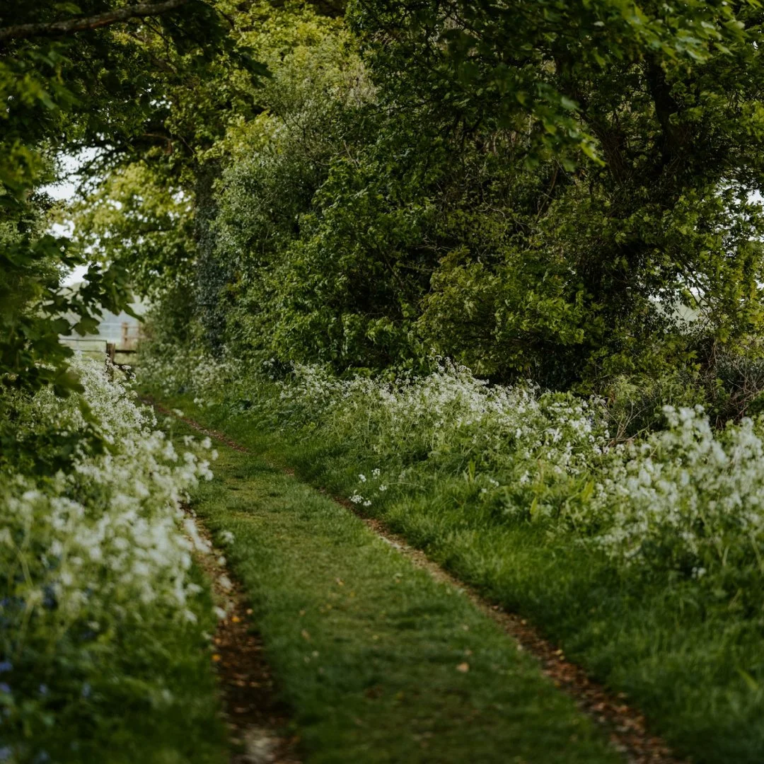 Untitled copy 10.jpg