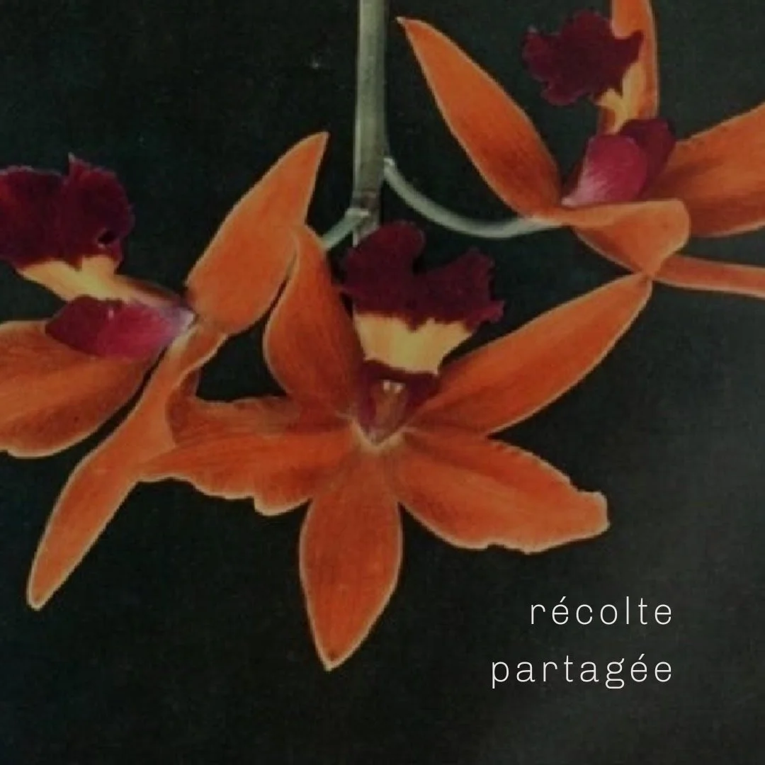 Untitled copy 863.jpg
