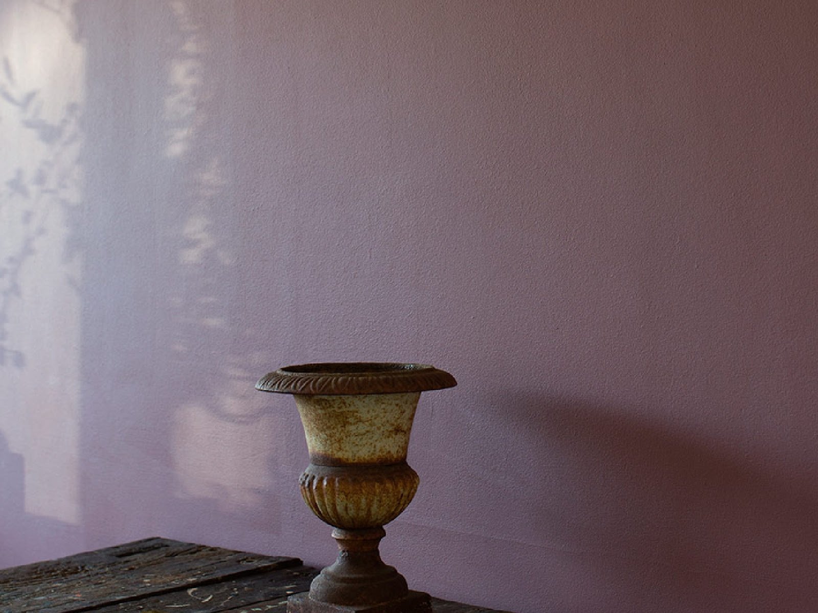 A ceramic urn or vase with a floral or leaf pattern on a wooden surface against a pink wall, with a faint reflection of trees and sky on the wall.