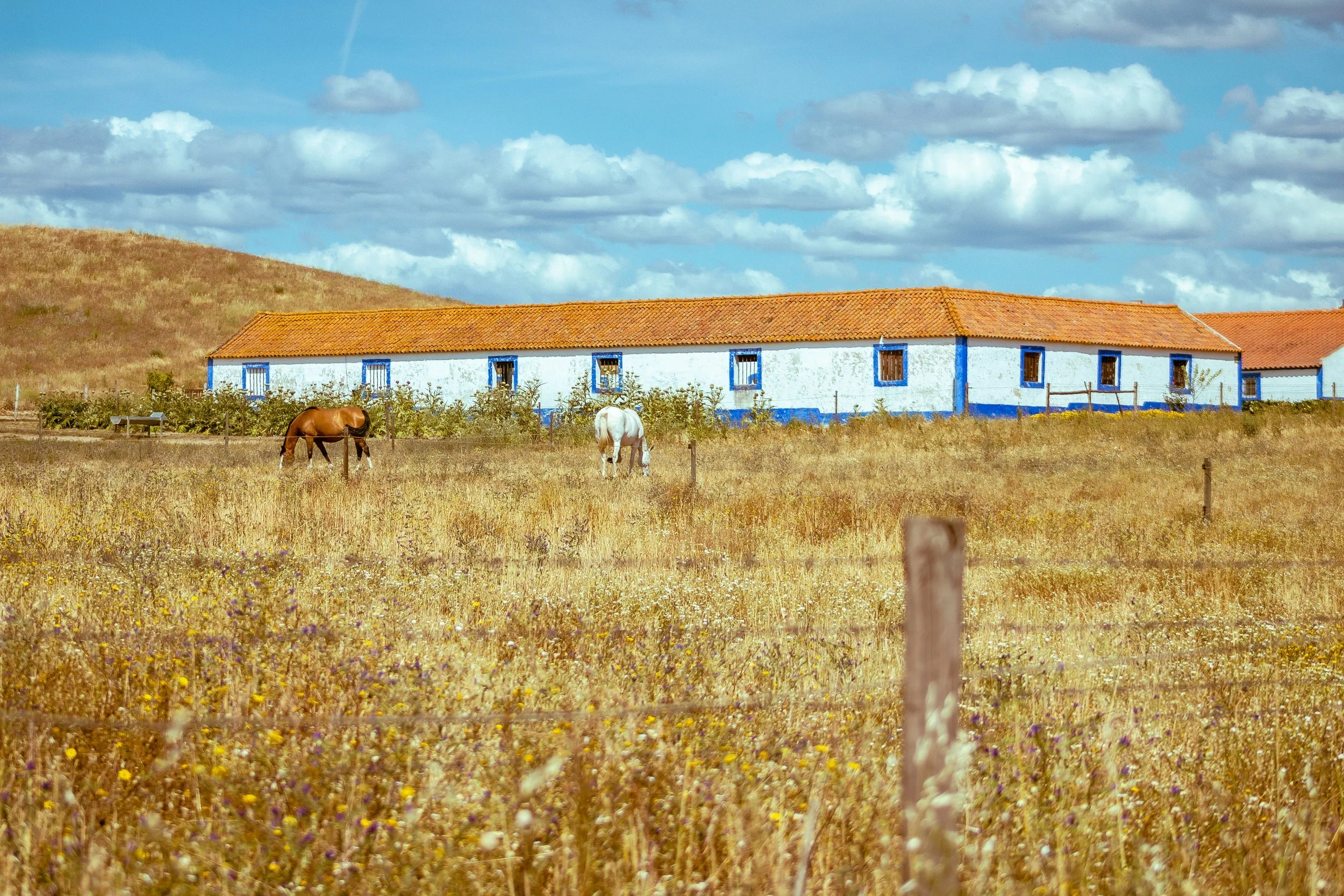 Algarve to Alentejo: Portugal's Coast and Wine Country