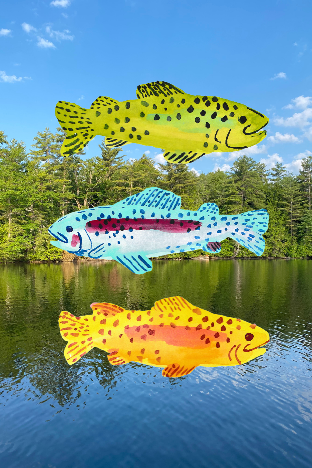 Muskoka Fish