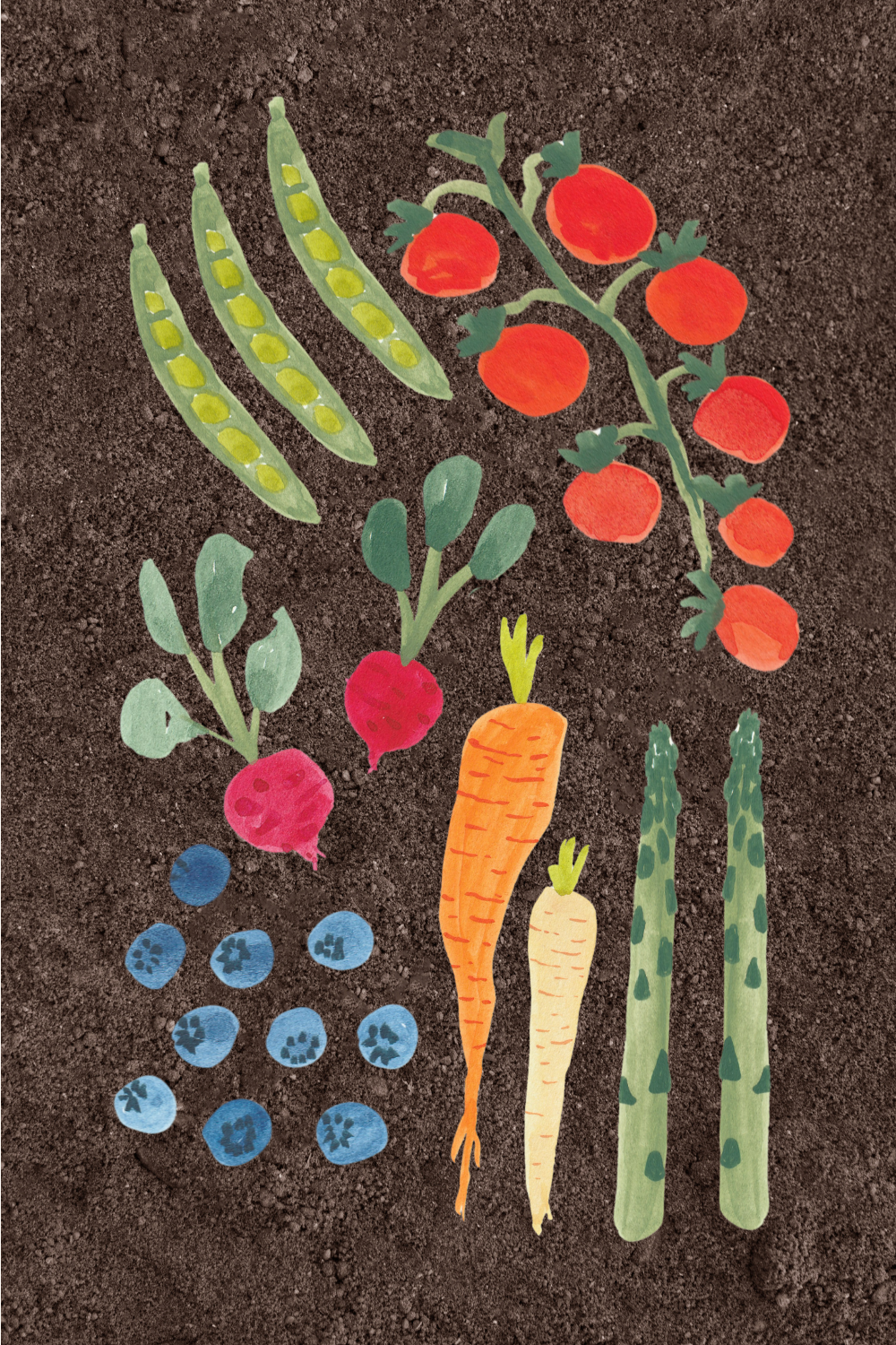 Veggie Garden
