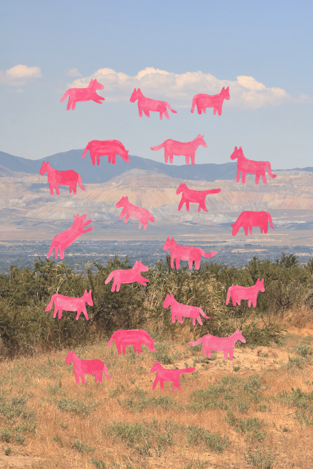 Barnyard Patterns