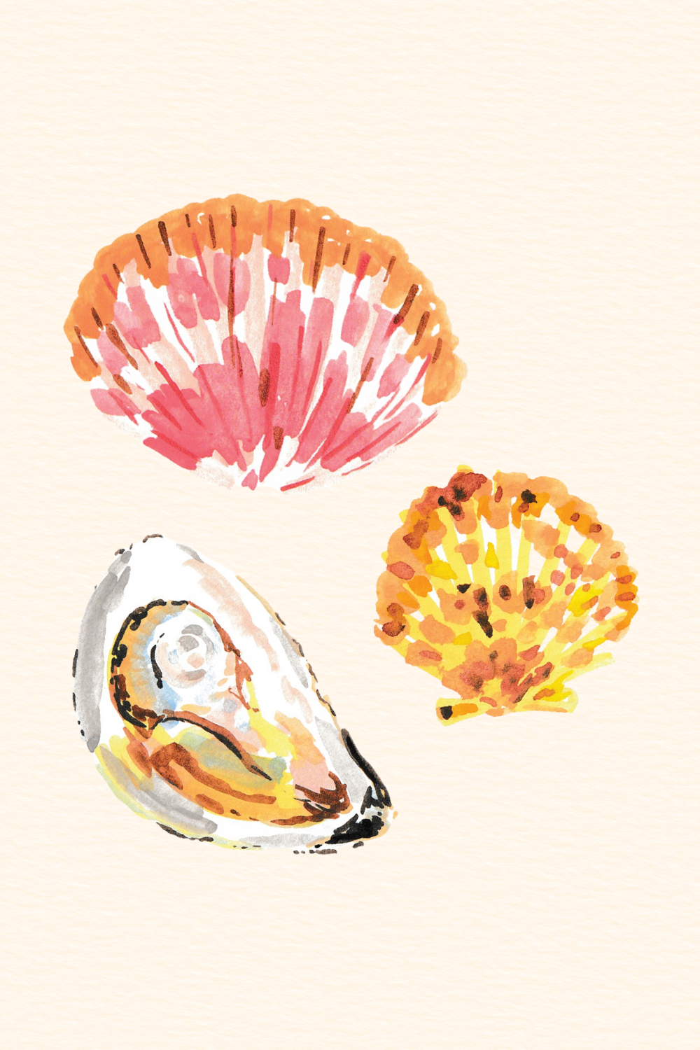 Seashells