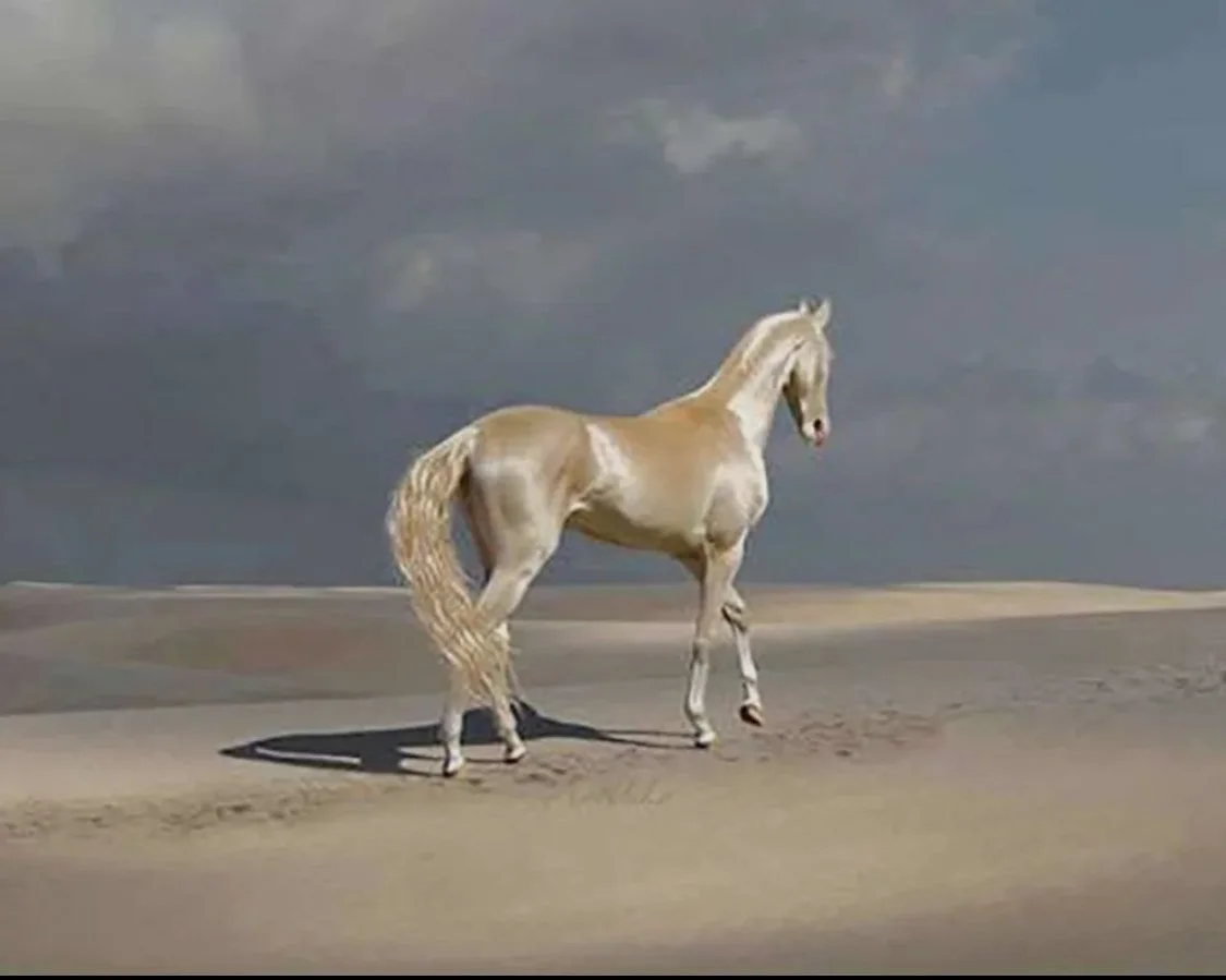 A white horse walking on a sandy beach with dark stormy clouds in the sky.