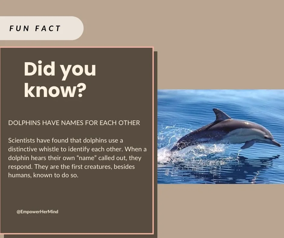 Imagine getting your name called from miles away and knowing exactly who&rsquo;s calling.

Dolphins don&rsquo;t just communicate, they have unique signature whistles that work like names! Nature keeps reminding us that intelligence, connection, and i