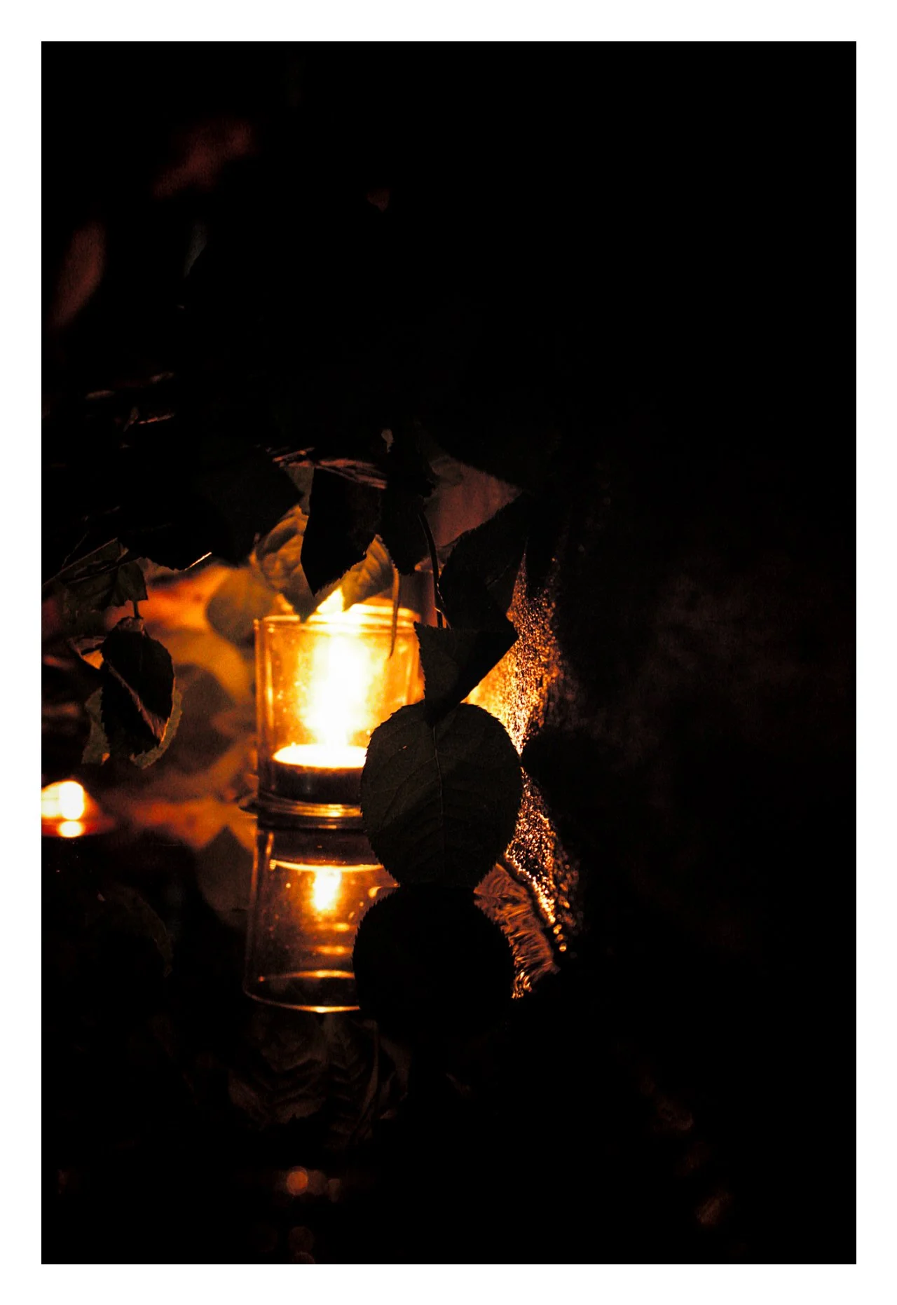 IMG_3494 Edited (1).jpg