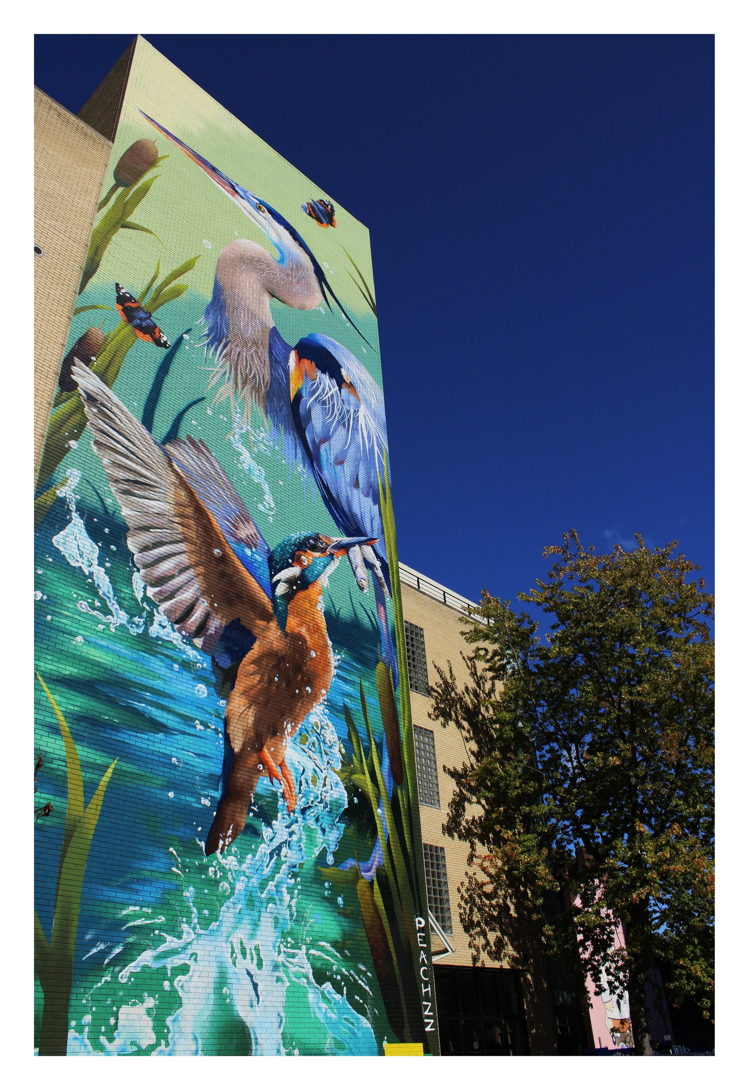 IMG_0041%20Edited Edited.jpg