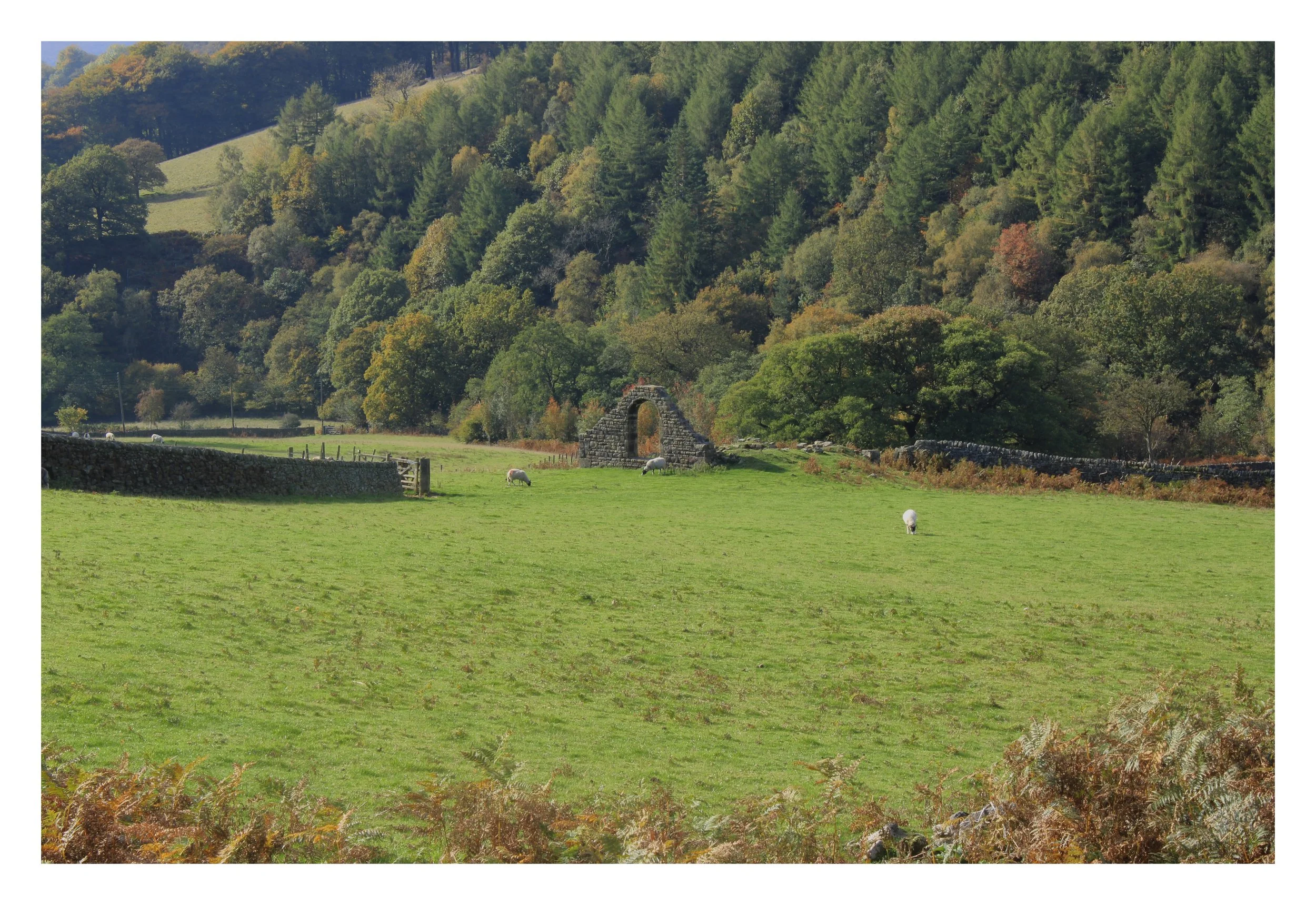 IMG_1904%20Edited Edited.jpg