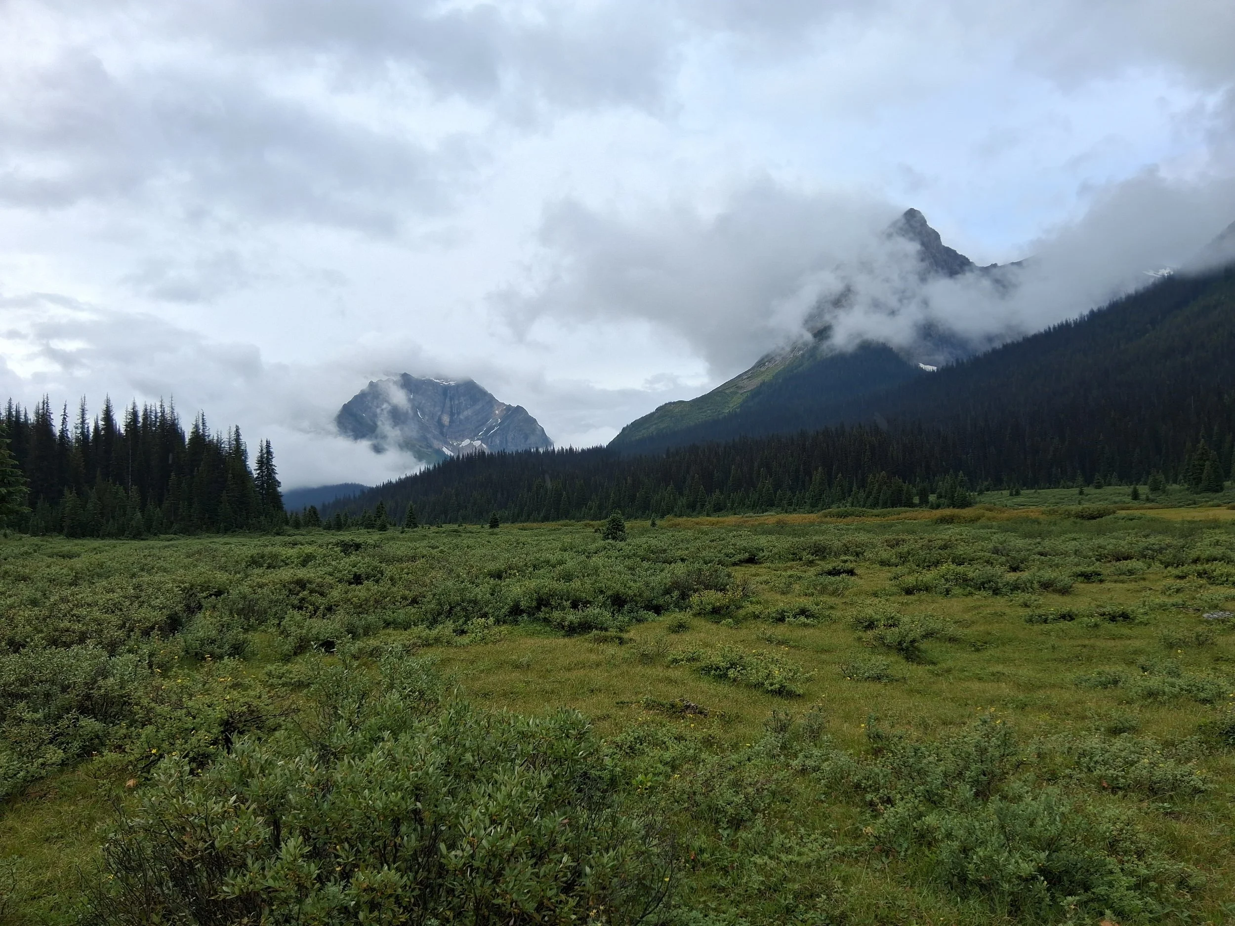 A mountain landscape with forested slopes, mist, and a cloudy sky.