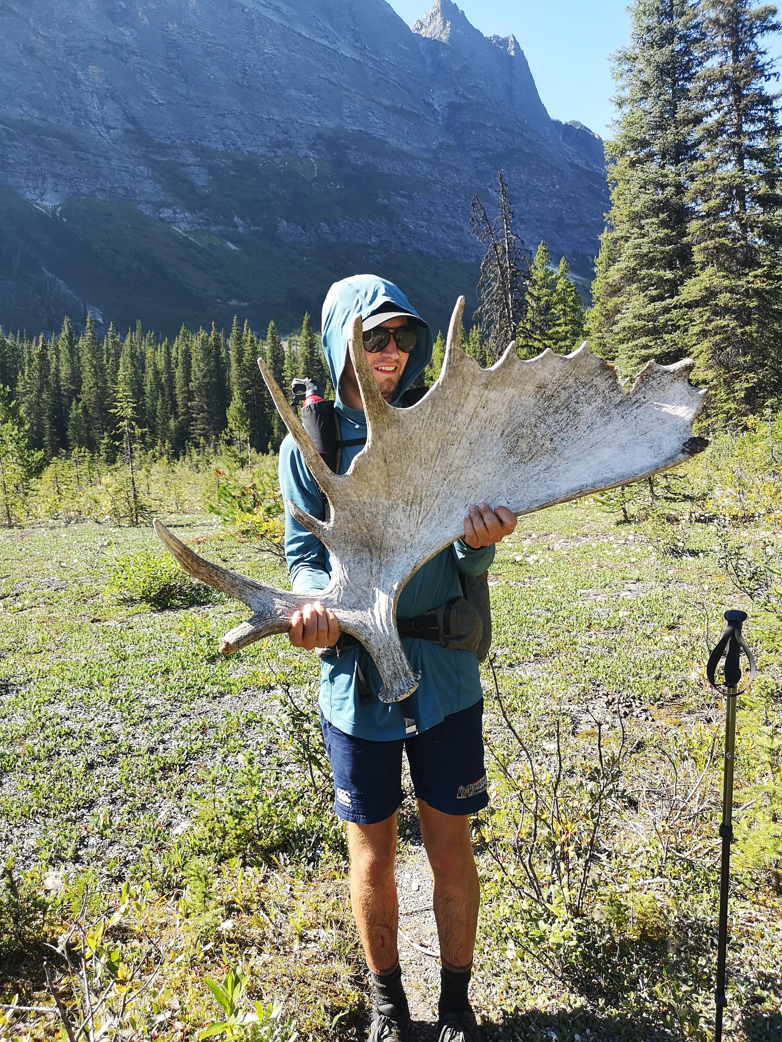 Man in outdoor gear holding large moose antlers in a forested mountain area.