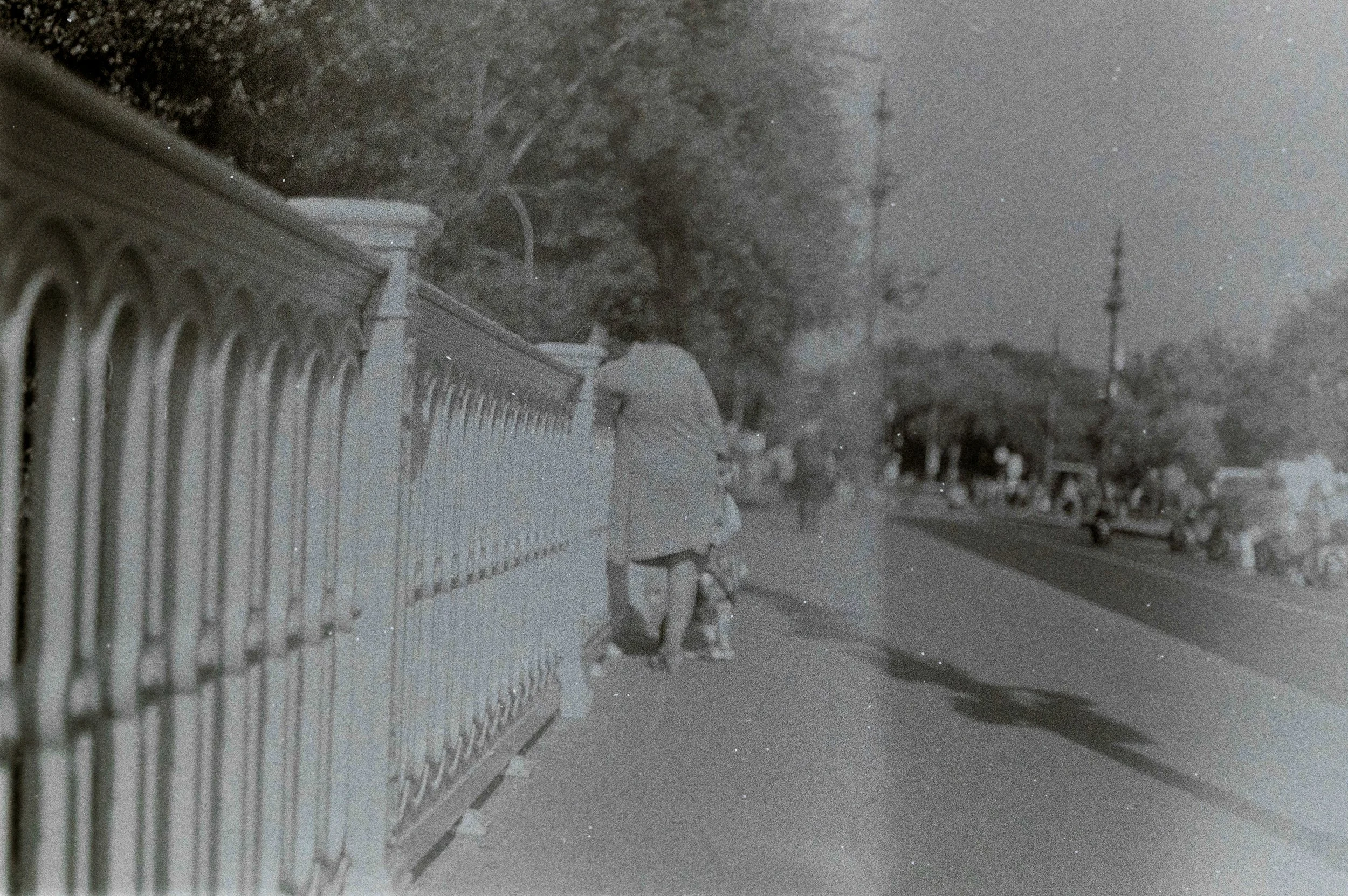 Una persona si appoggia a un cancello bianco lungo la strada, con alberi e veicoli in lontananza.