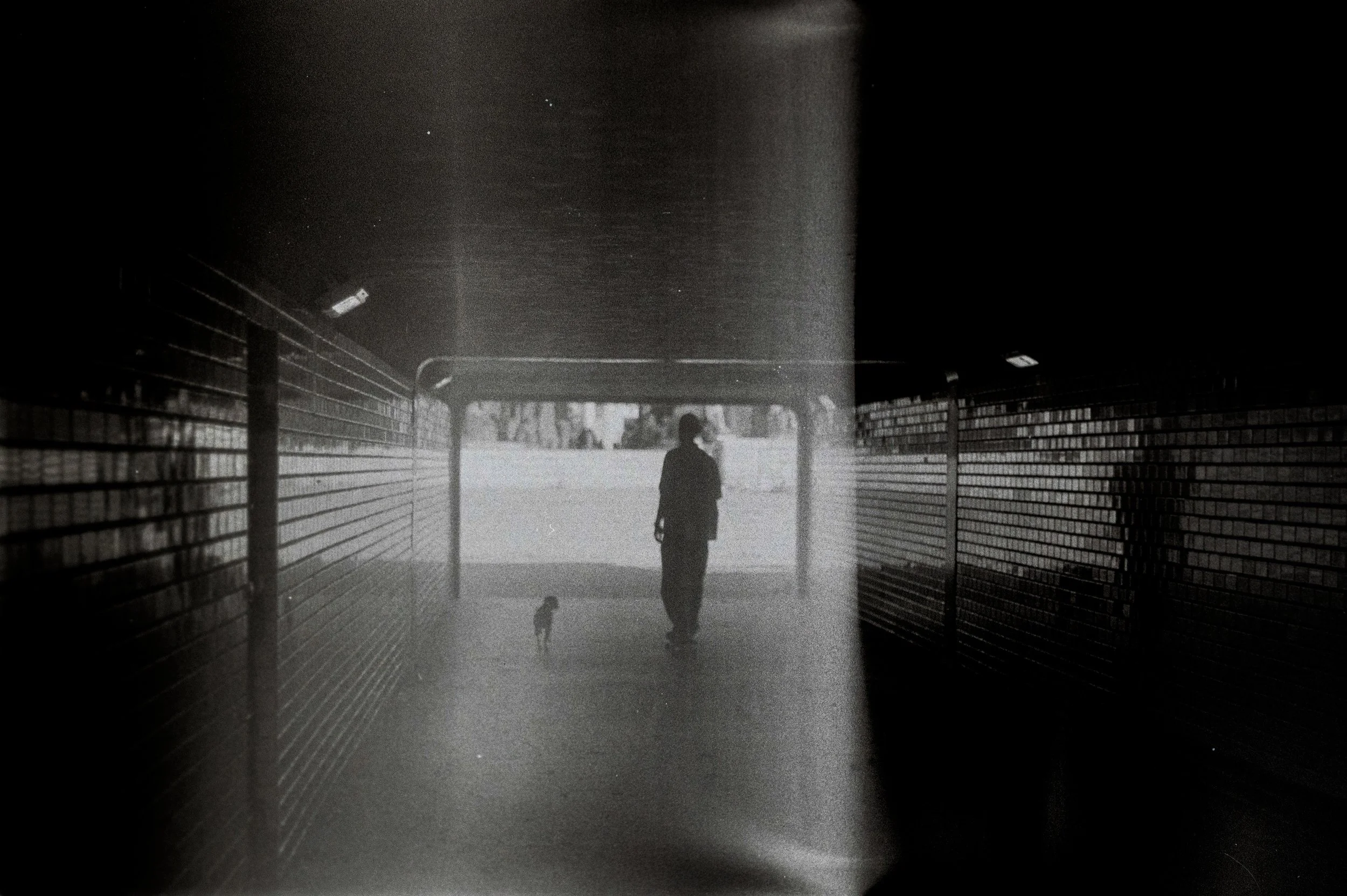 Una persona con un cane in un sottopassaggio, in controluce, con la luce che proviene dall'uscita.