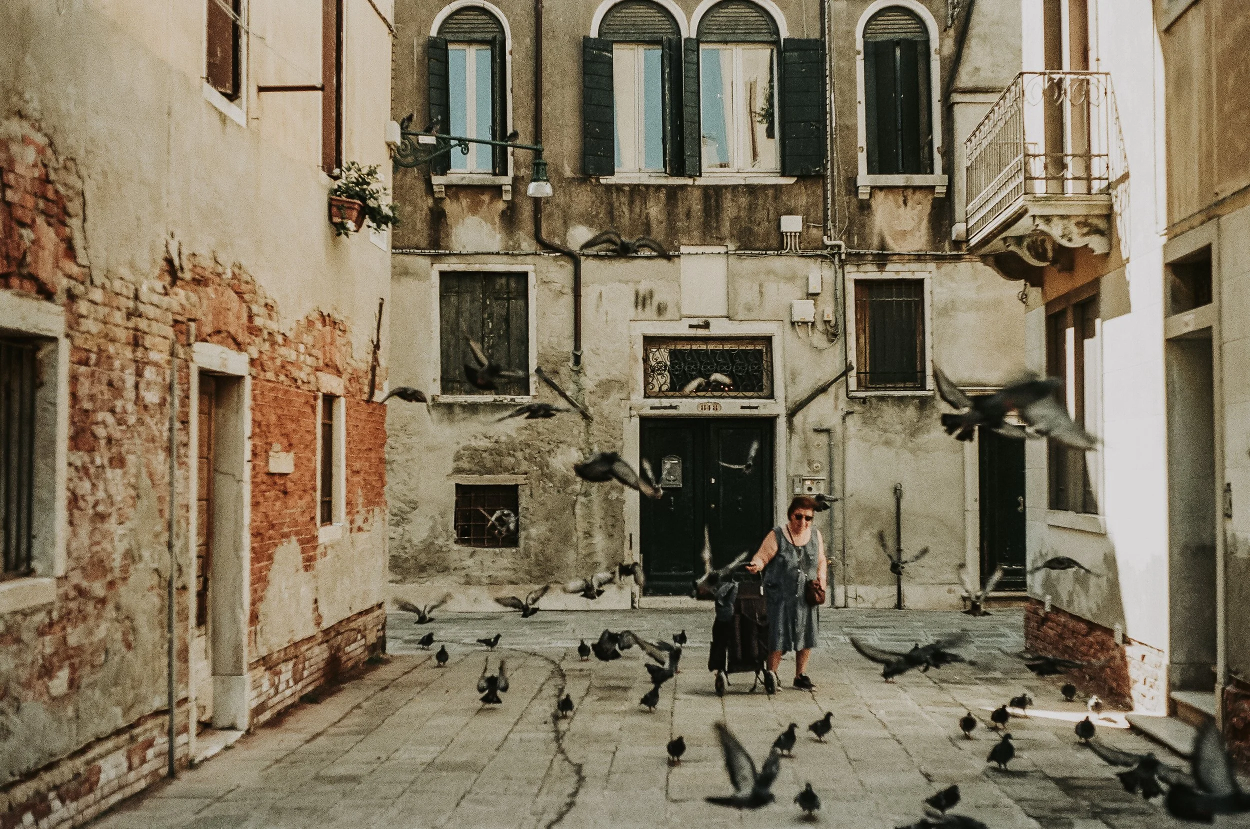 Una donna anziana con un bastone e una sedia a rotelle cammina in una piazza affascinante, circondata da volatili che volano nel cielo, in un ambiente urbano con edifici vecchi e balconi.