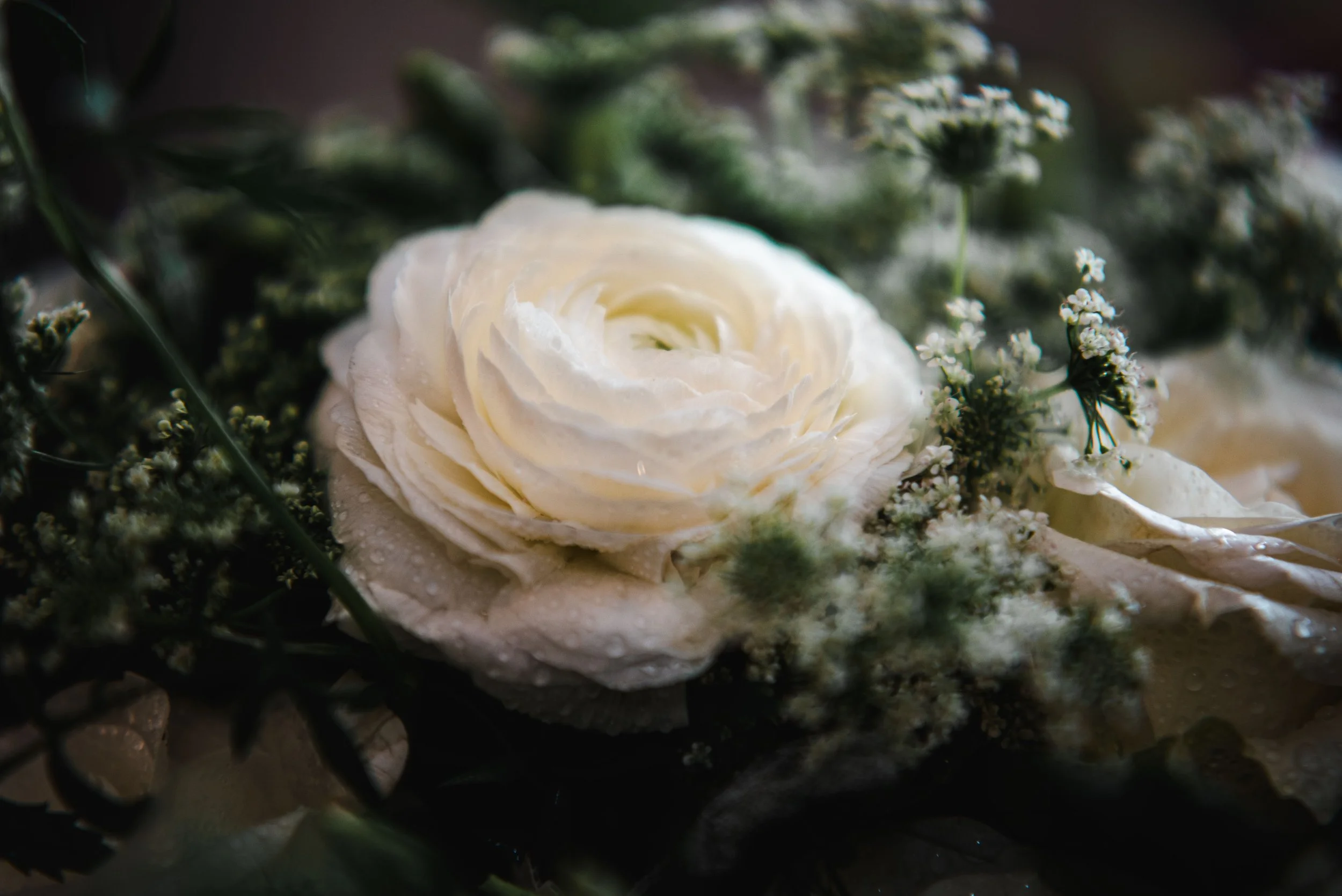 2023 June 17 - Snow Wedding-3239.jpg