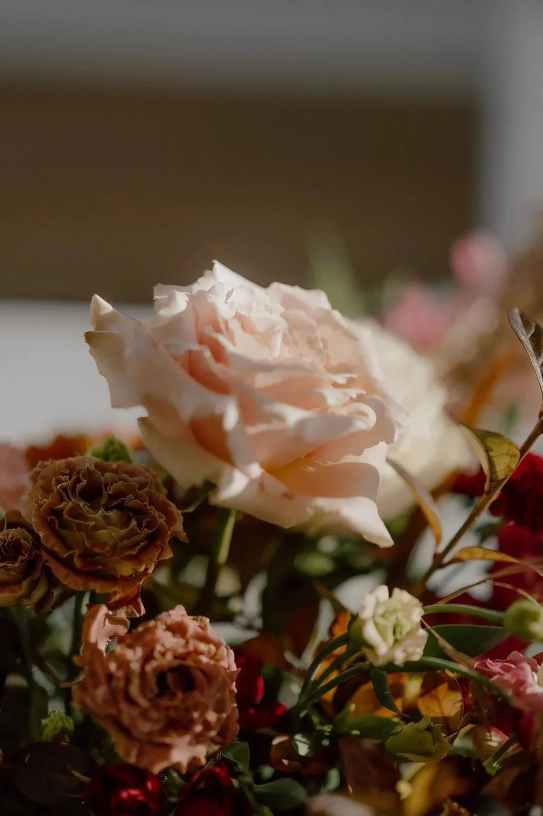 Close-up of a light pink rose surrounded by other multicolored flowers and greenery in sunlight.