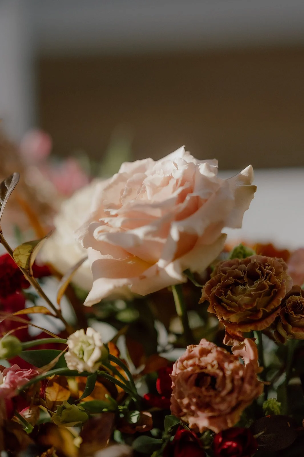 Close-up of a light pink rose with several brown and pink carnations and other flowers in the background.