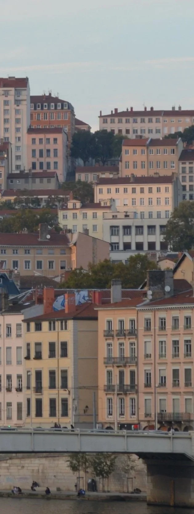 Une vue urbaine montrant plusieurs immeubles résidentiels de différentes hauteurs et couleurs, avec un pont au premier plan et des arbres entre les bâtiments.