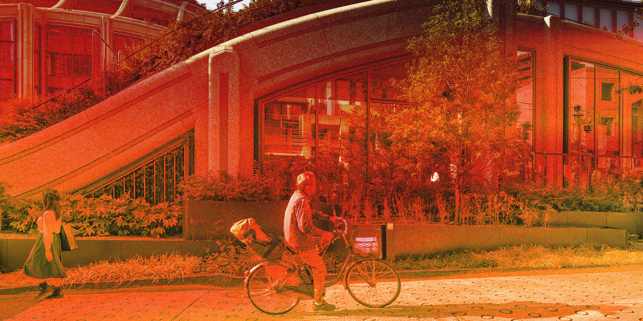 HOUS Agency Photos 16.png