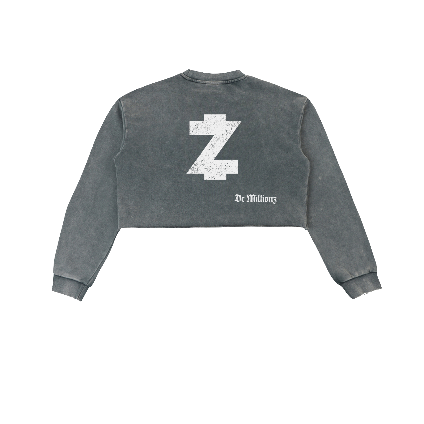 CROP TEE GREY B.png