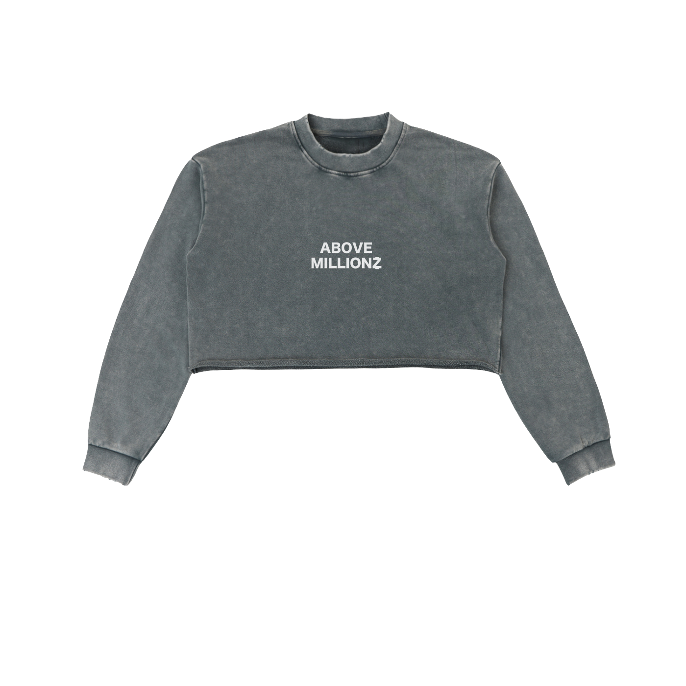 CROP TEE GREY F.png