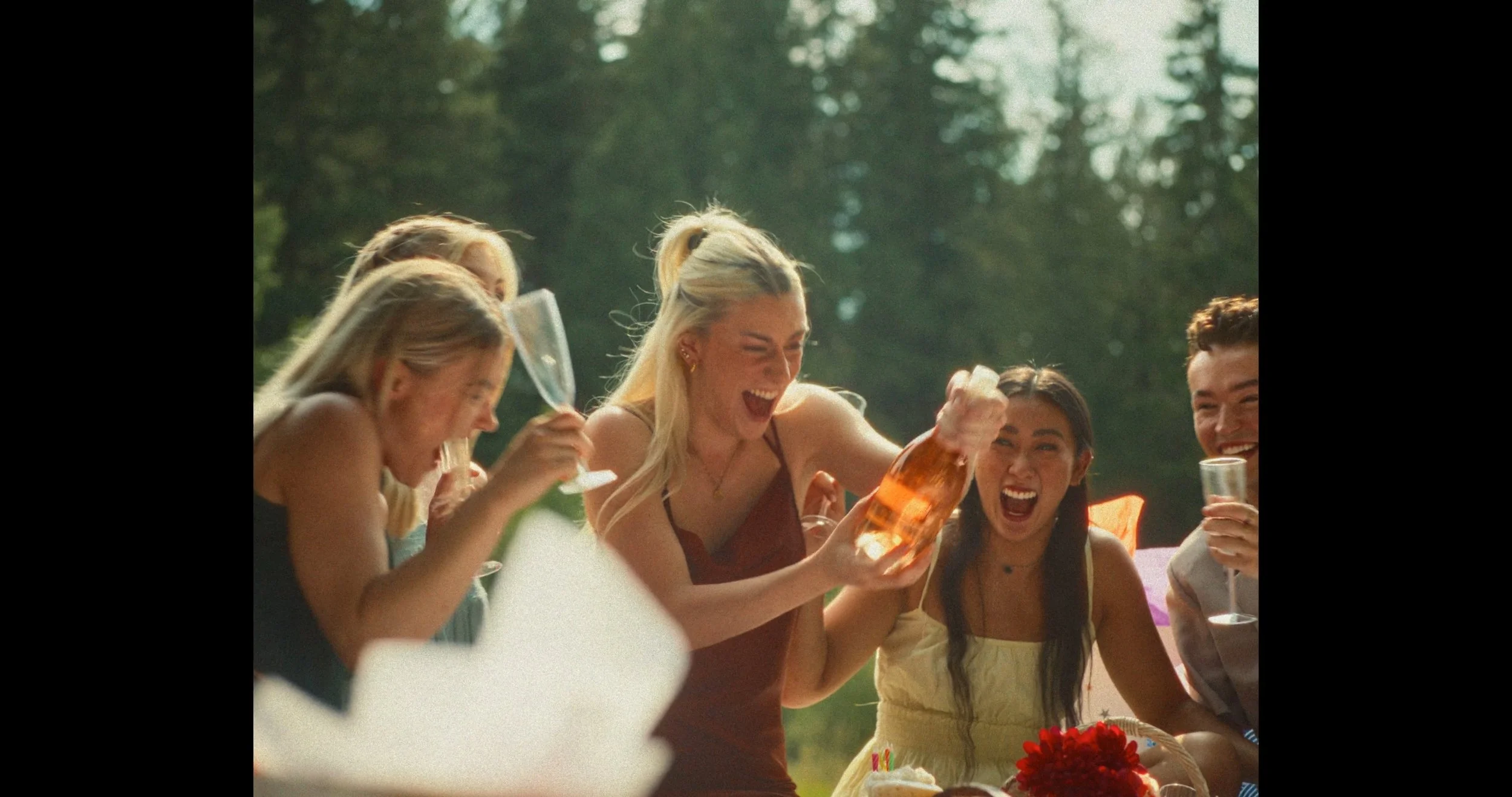 Timeline 6_01_02_39_07.jpg