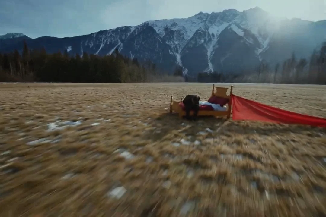 Timeline 8_01_02_54_05.jpg