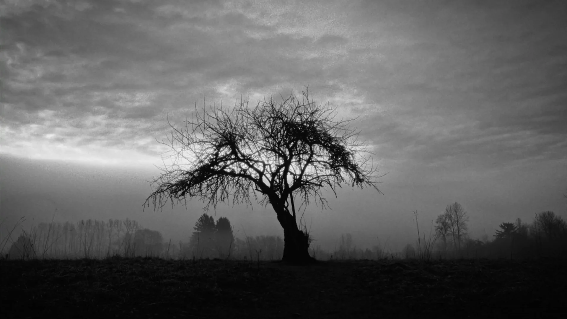 Timeline 1_01_10_33_10.jpg