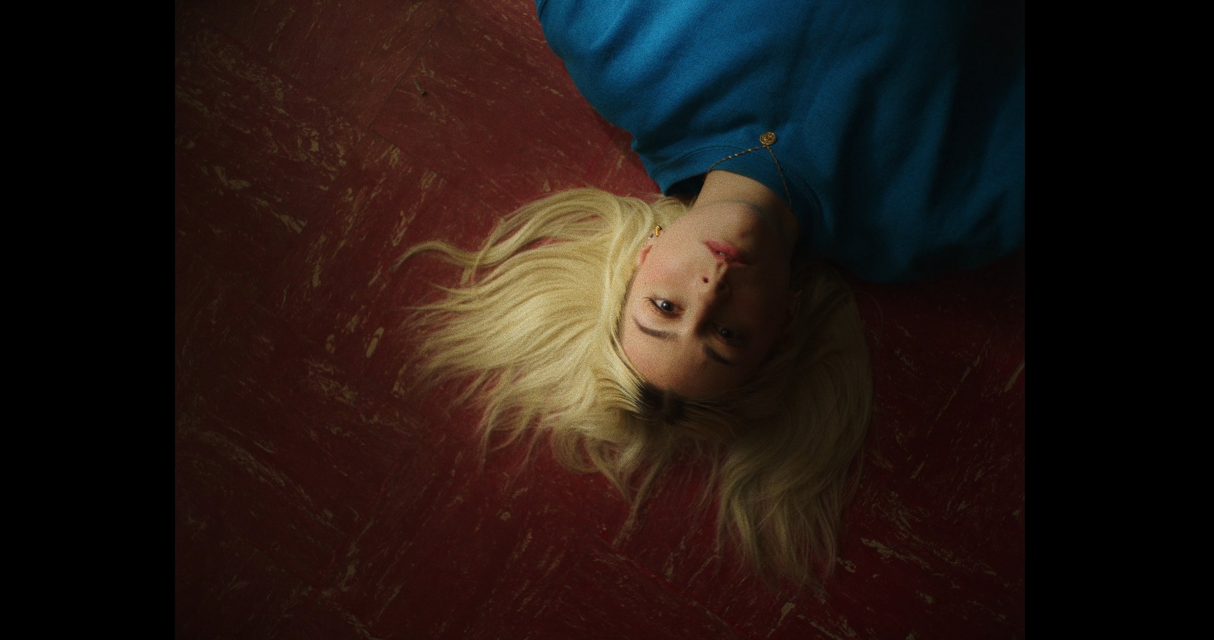 Year Gone Bye - Dan Whitlam