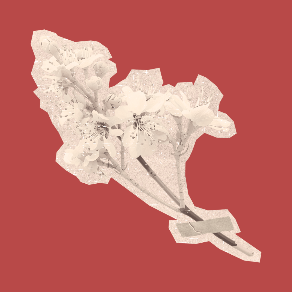 A collage featuring a branch with flowers overlaid on a map of California, with a red background.