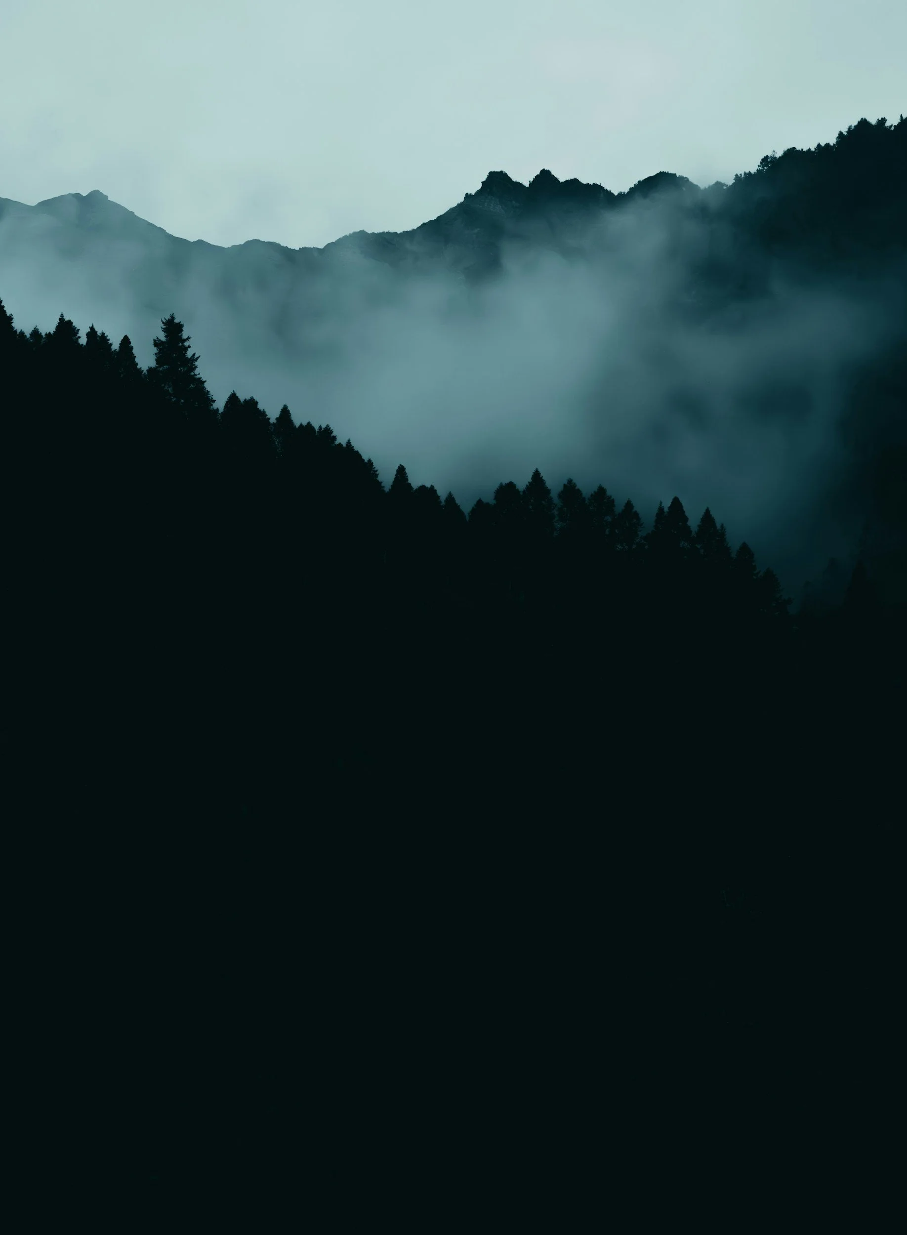 Silhouetted mountains with fog and dense trees in the foreground.