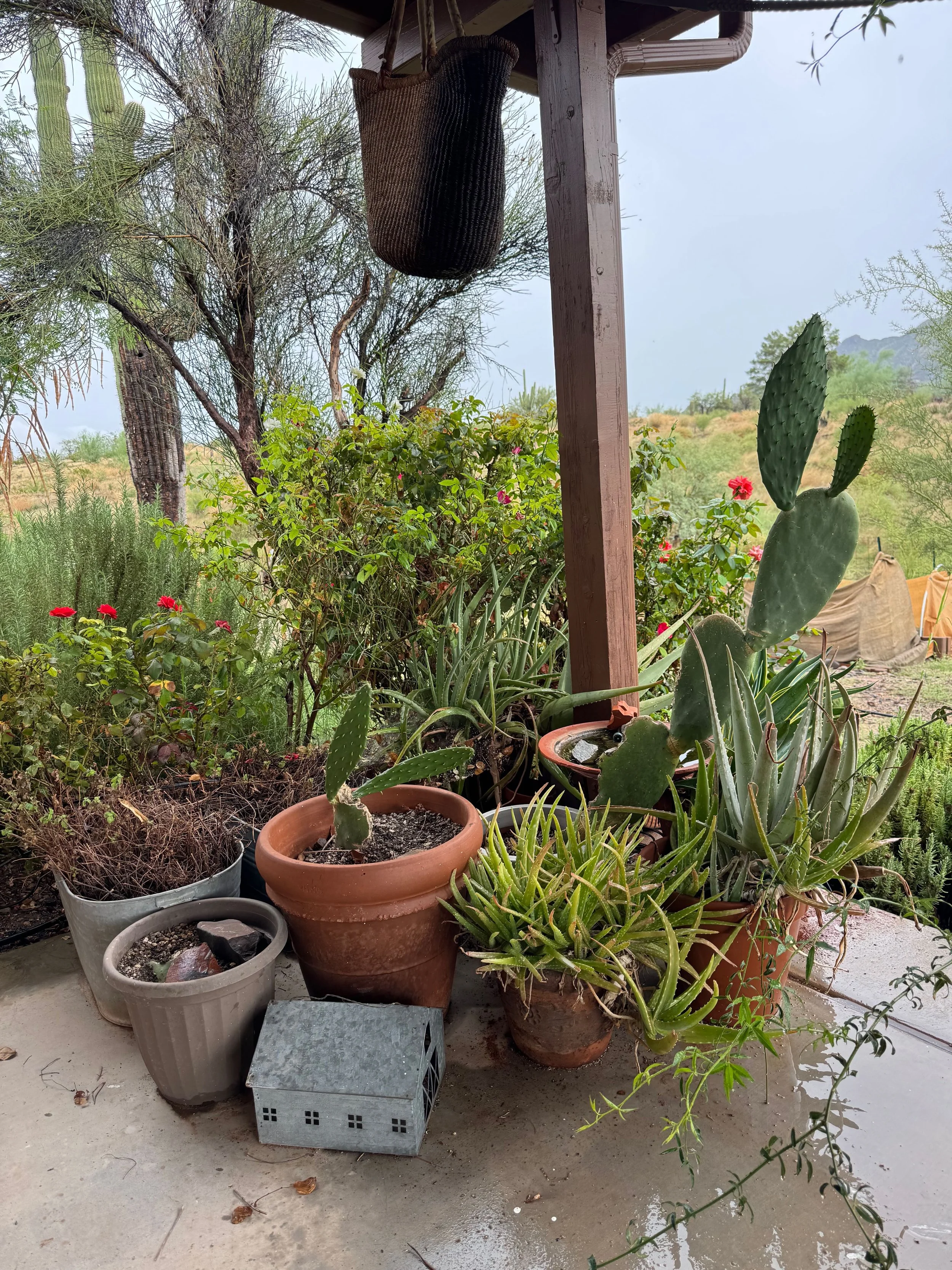 Emerging from summer!