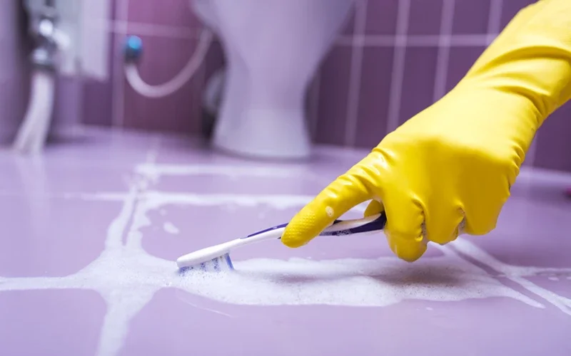 professional cleaning company near me